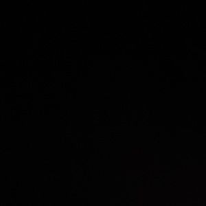 Meet your Posher, zelly